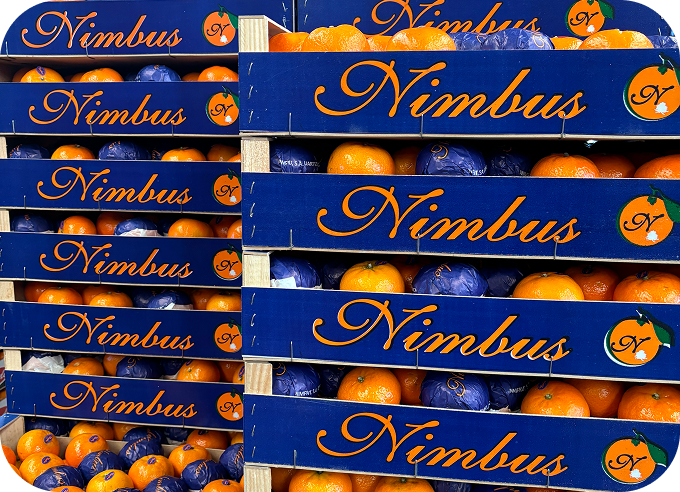 Mapa de zonas de distribución de cítricos en España.