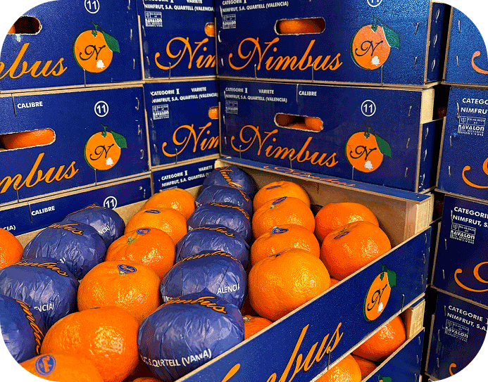 Oficina central de Nimbus en Quartell, Valencia.