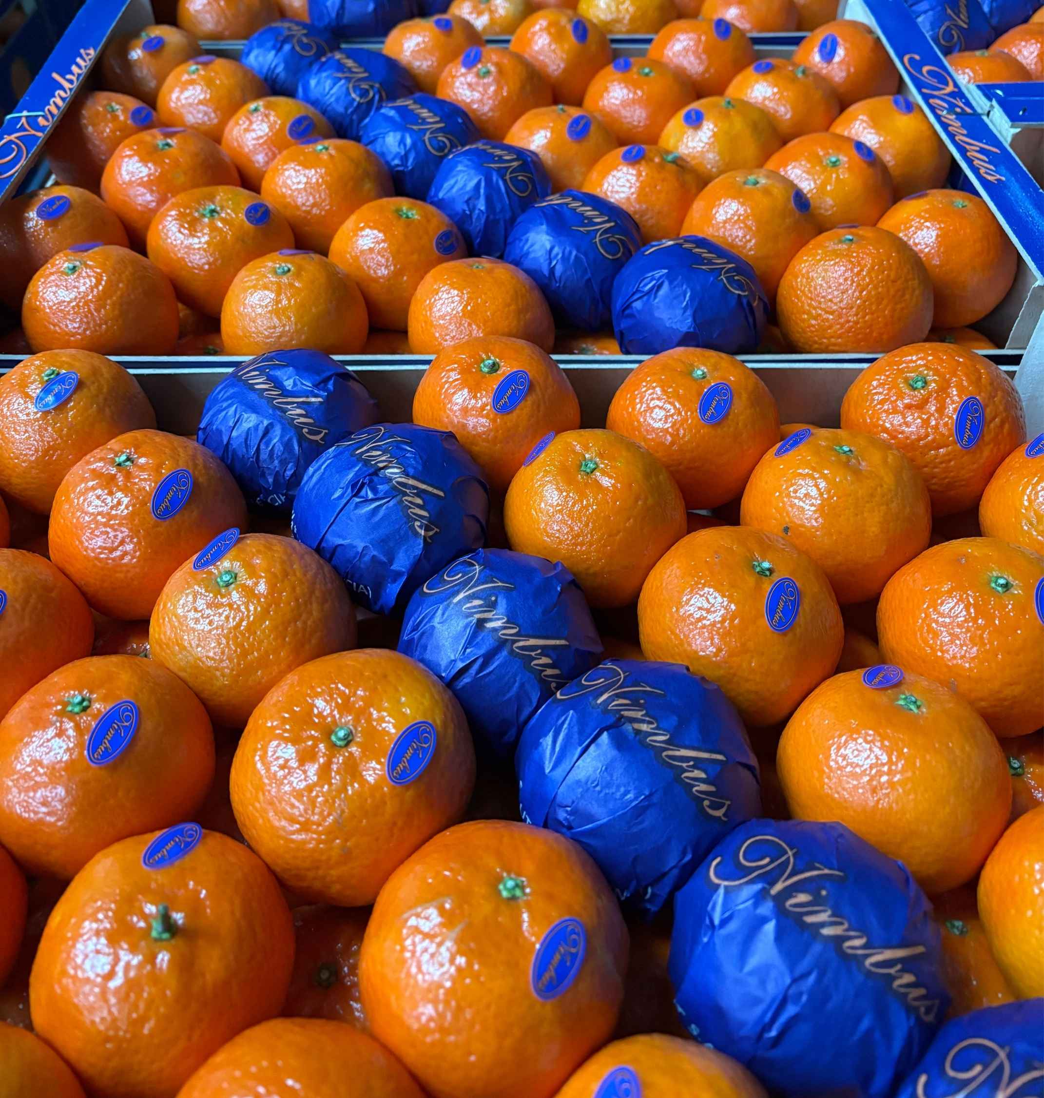 nimbus-distribuidor-naranjas-mandarinas-caja.jpg Cajas de fruta valenciana listas para distribución.